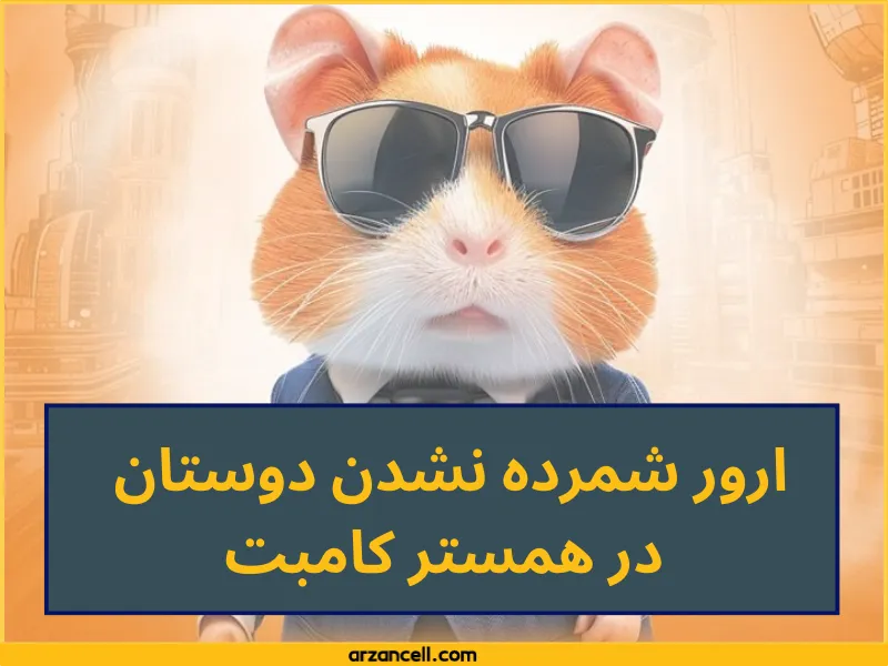 خطاهای همستر را چگونه برطرف کنم؟